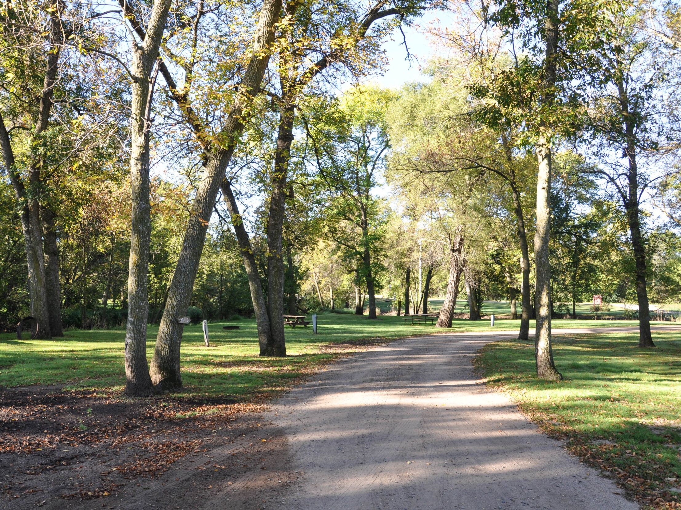 Picture of Pierz Campground
