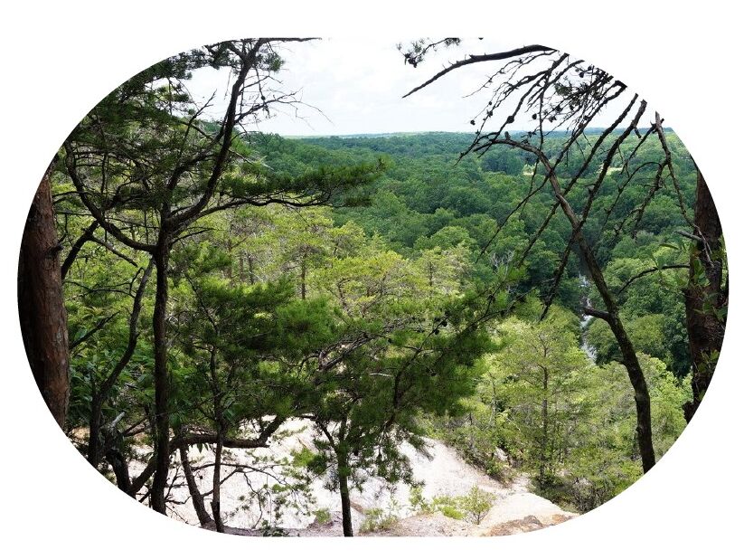 Picture of Occoneechee Mountain Loop Trail