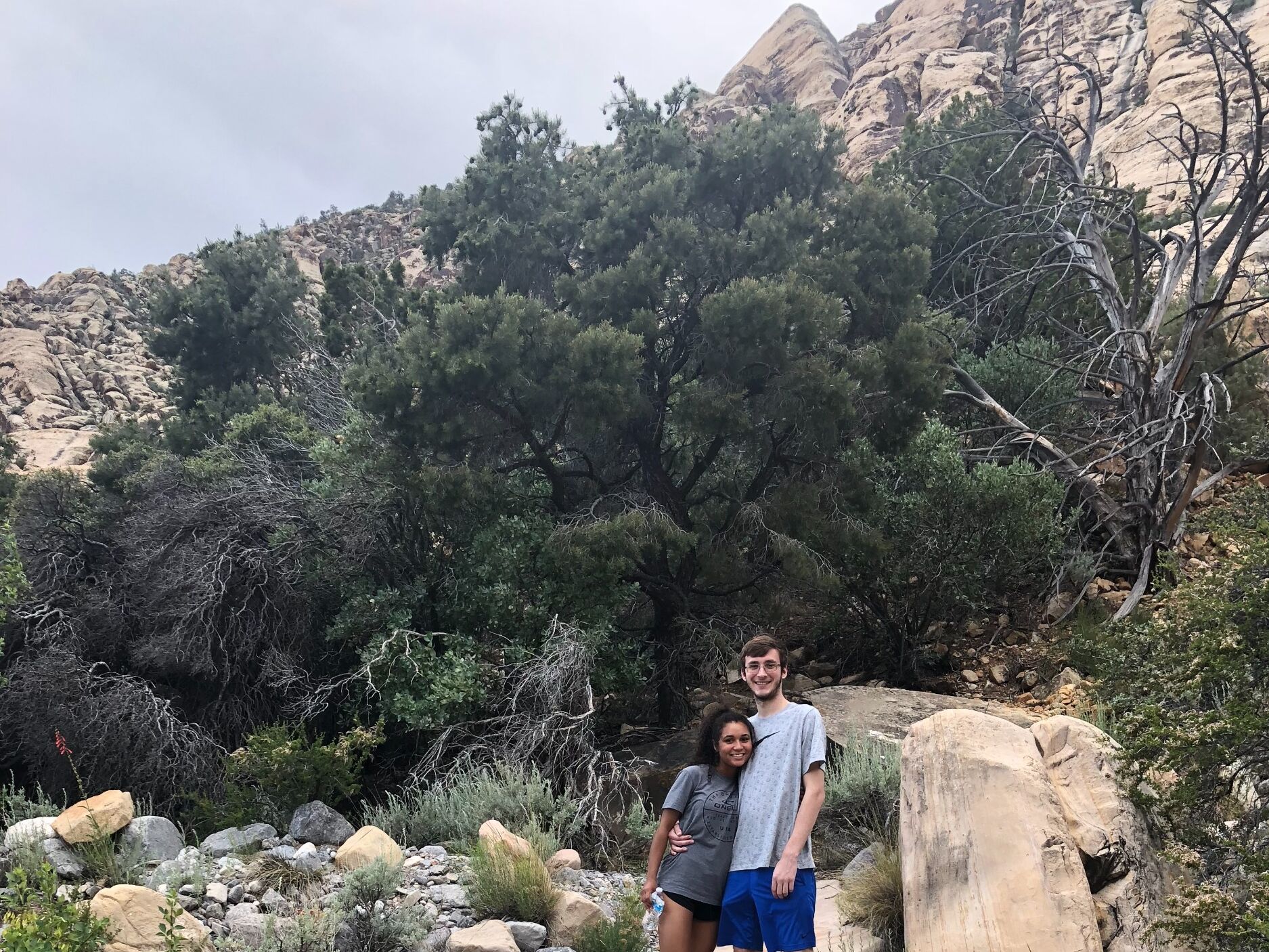 Picture of Red Rock Canyon National Conservation Area