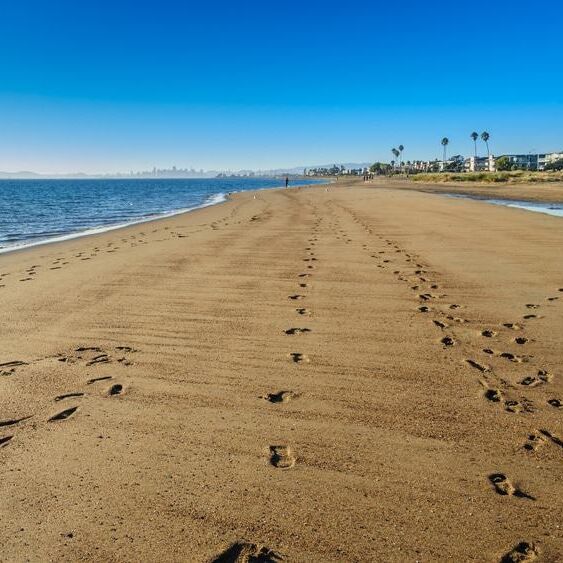Picture of Robert W. Crown Memorial State Beach