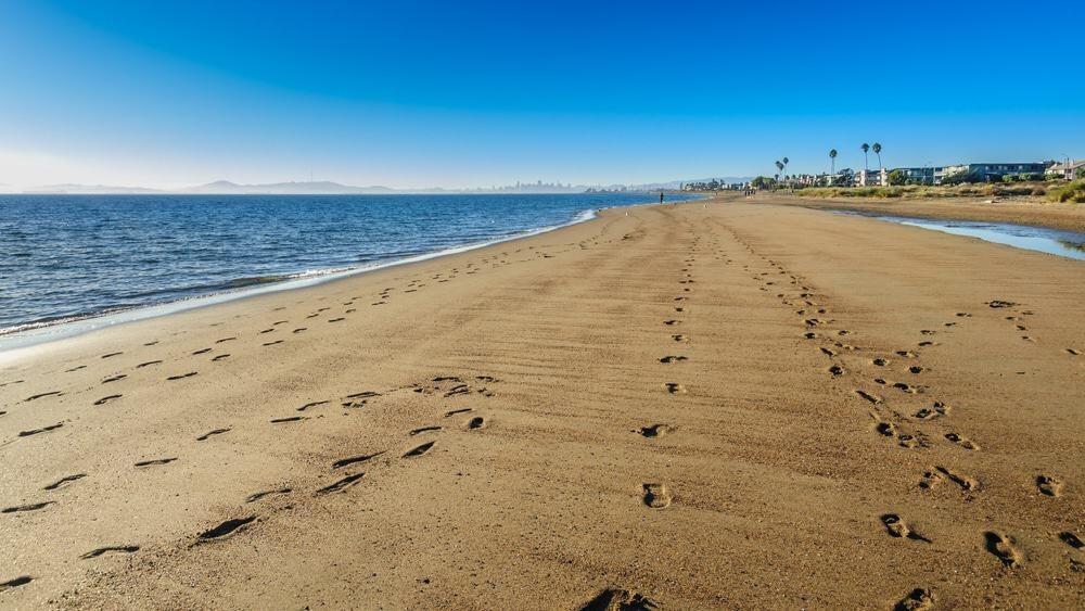 Picture of Robert W. Crown Memorial State Beach