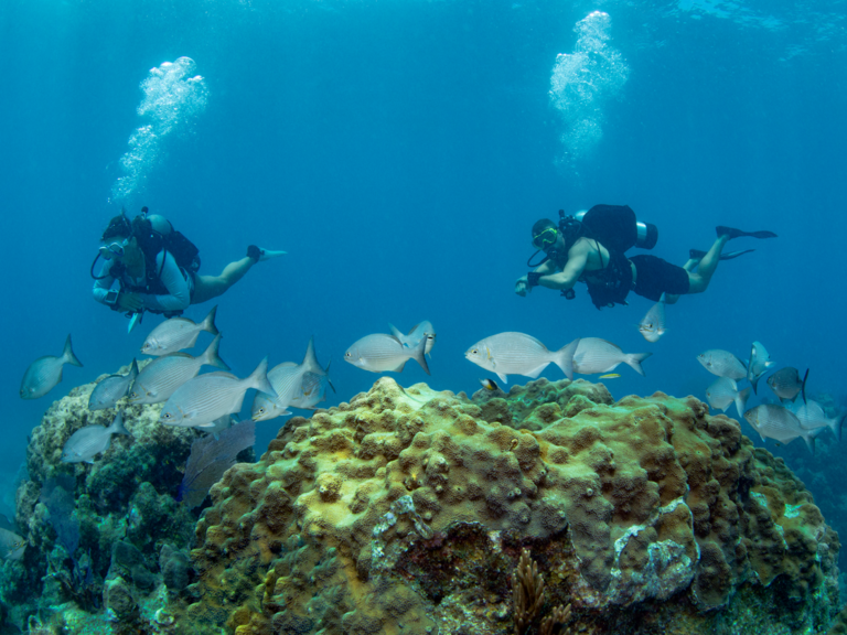 couple scuba diving in Big Pine Key, Florida