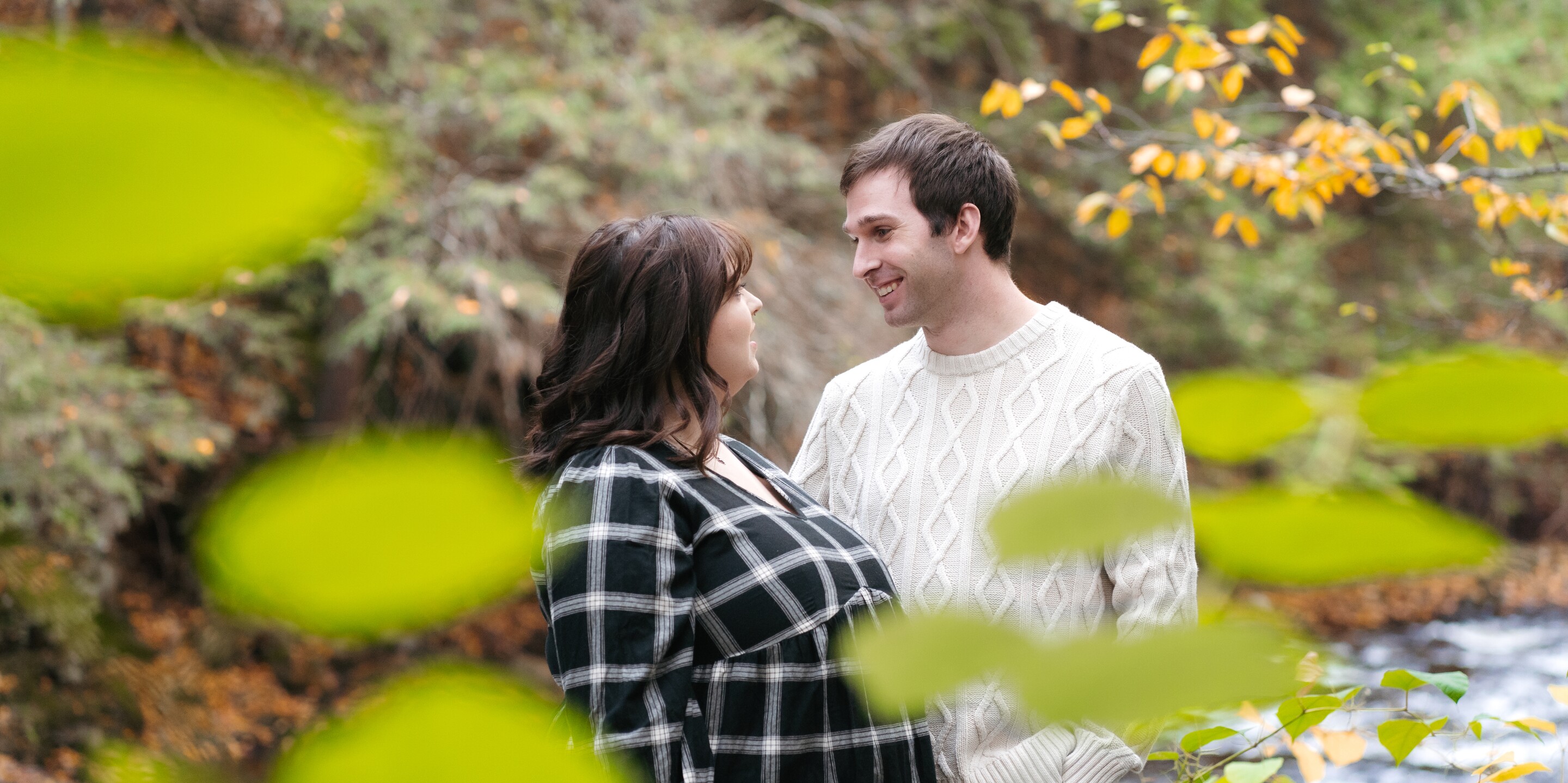 Nina & Scott Home Page Banner