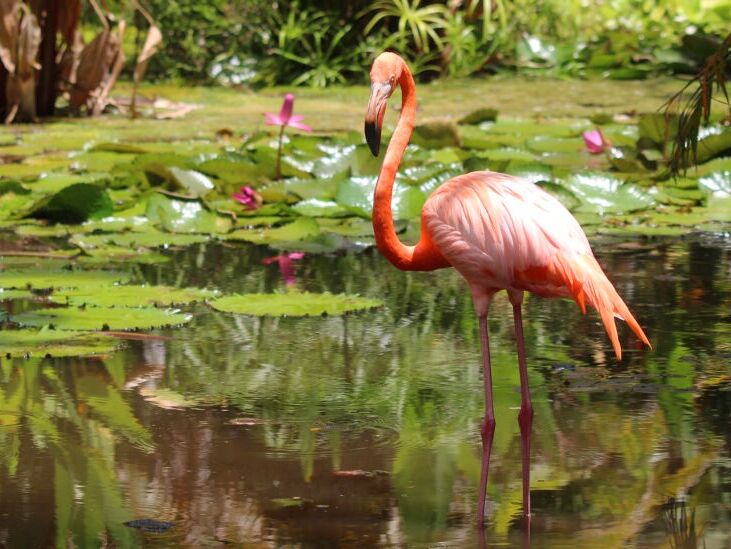 Picture of Wonder Gardens