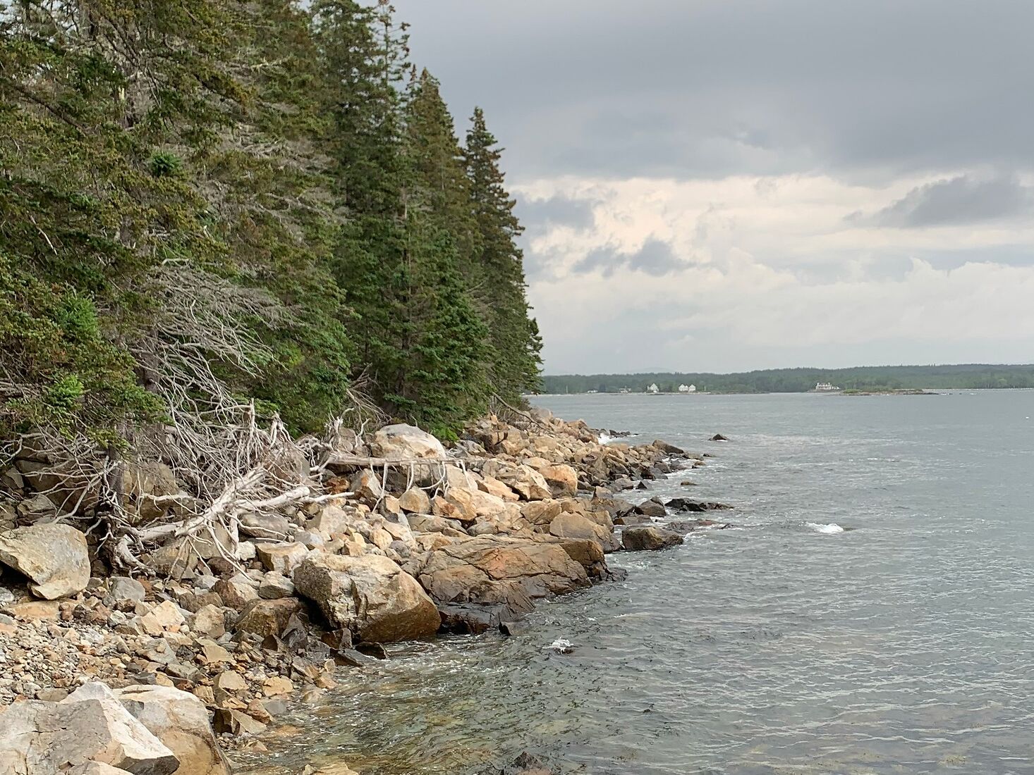 Picture of Ash Point Preserve