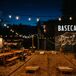 Casual Reception with Picnic Tables, String Lights and Cornhole