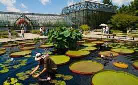 Picture of Long Wood Gardens