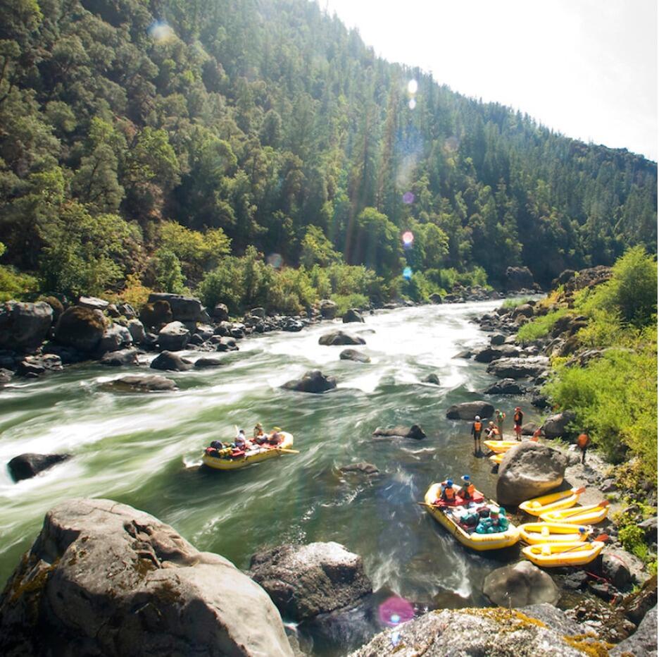 Picture of White Water Rafting
