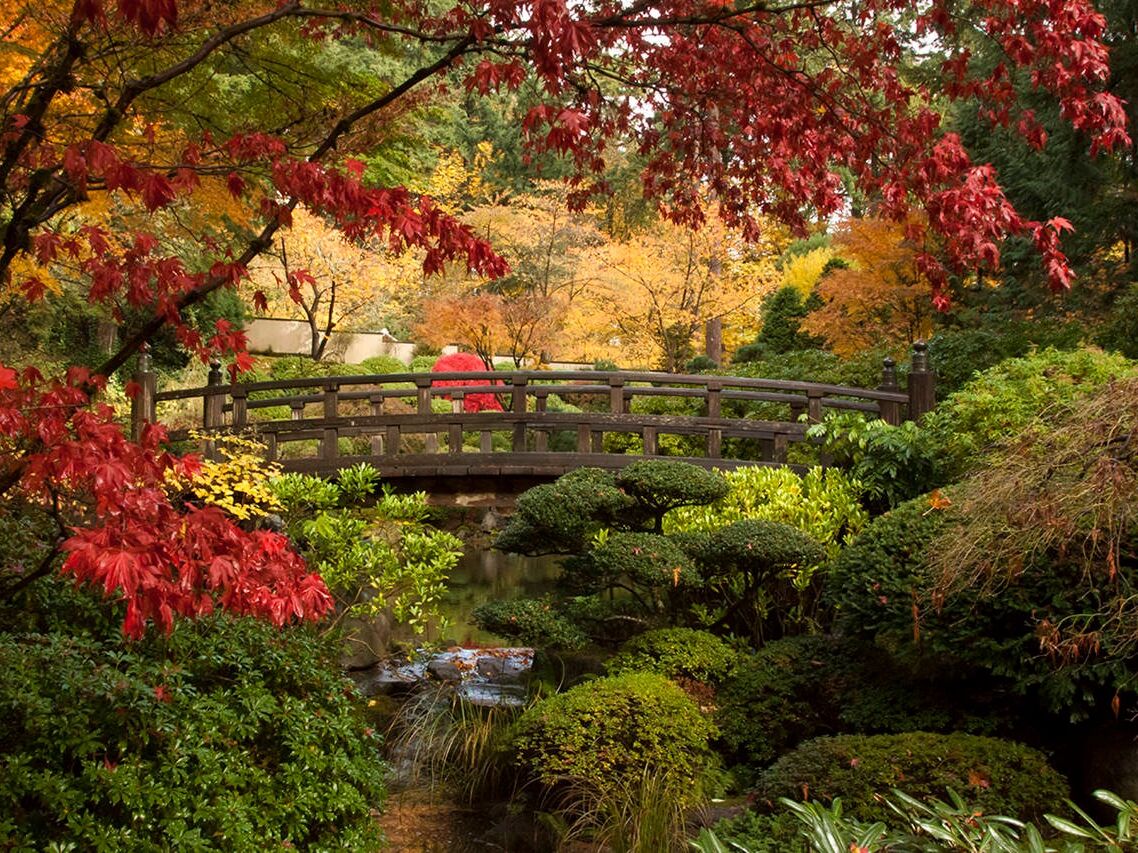 Picture of Portland Japanese Garden