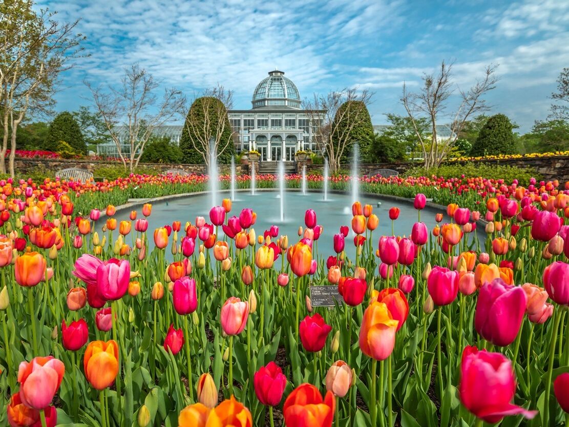 Picture of Lewis Ginter Botanical Garden