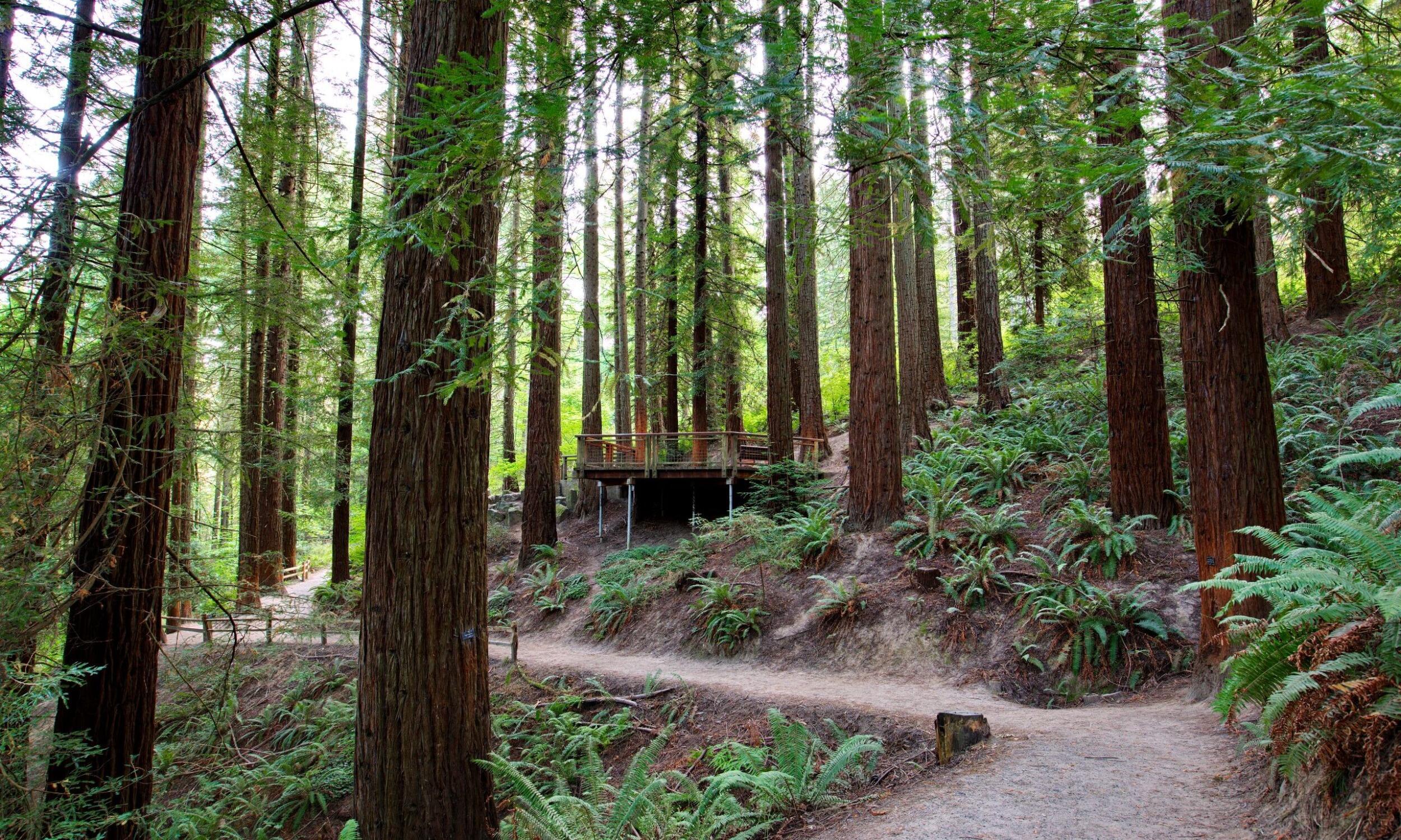Picture of Hoyt Arboretum
