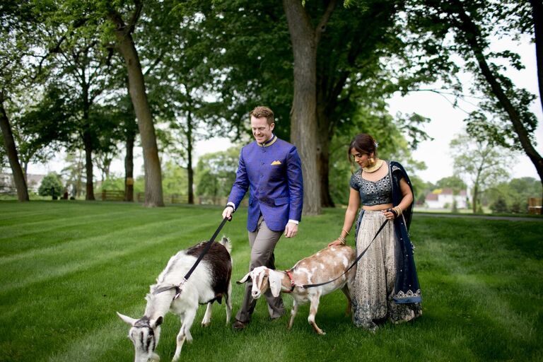 Couple walking with goats