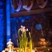 Paperwhite Bulb Centerpieces