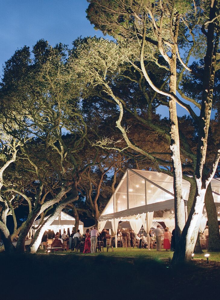 Multi-Tent Reception Among Trees