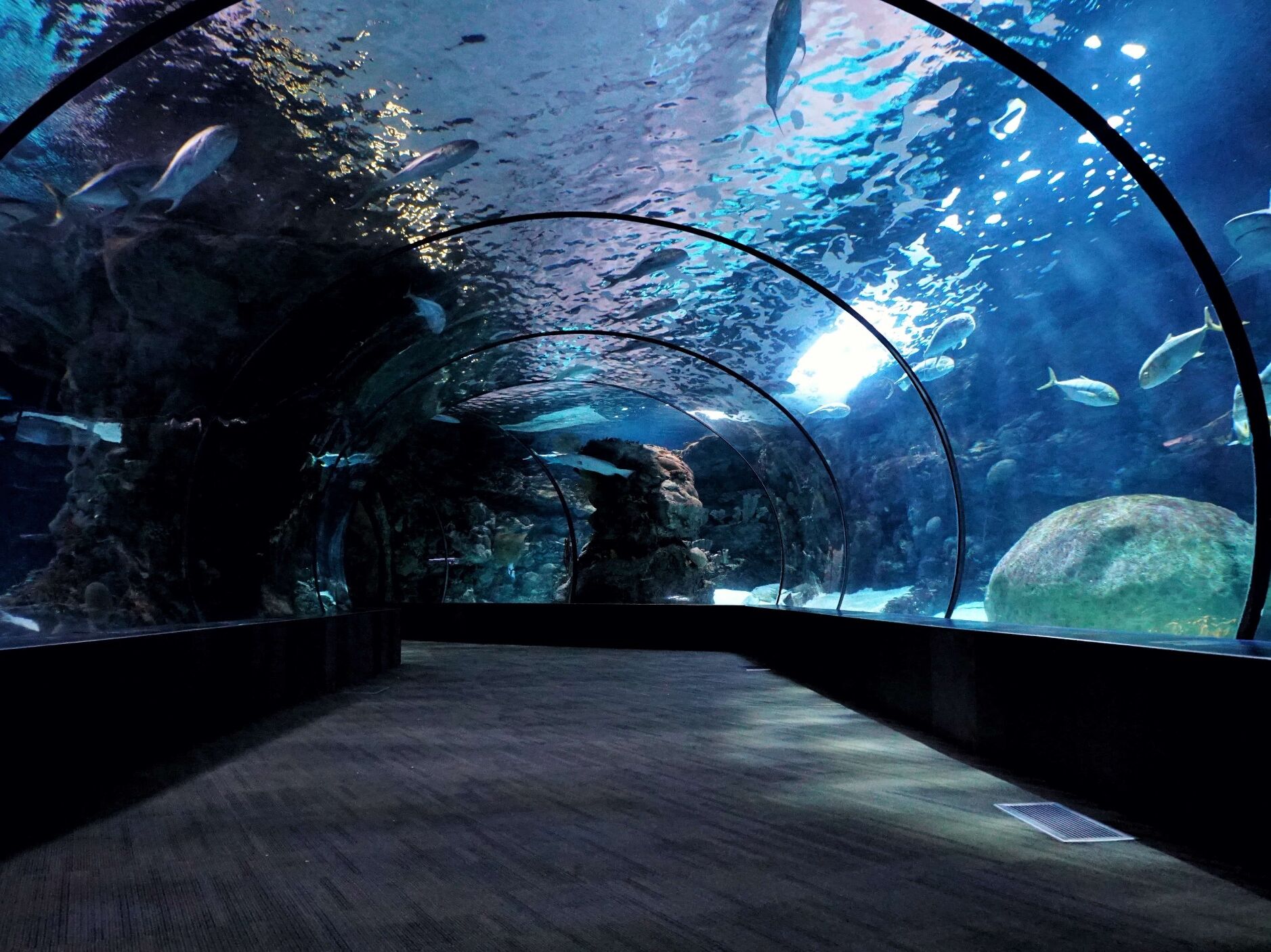 Picture of Oklahoma Aquarium