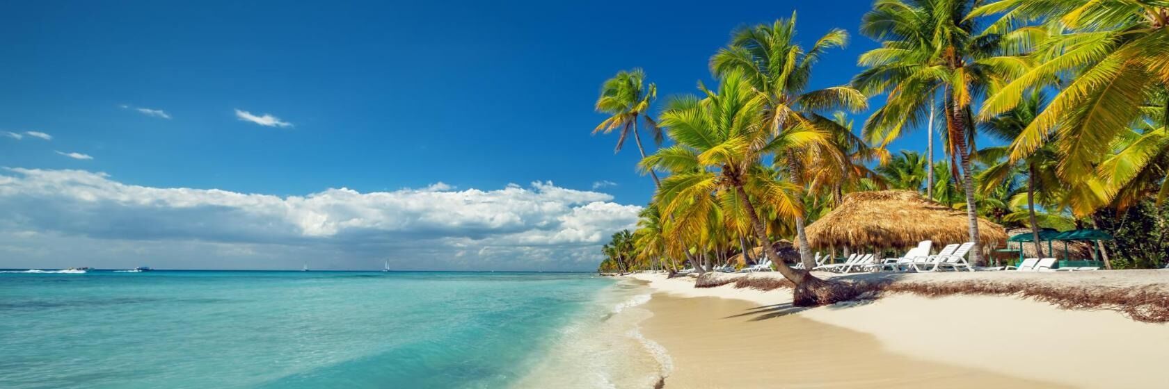 Picture of Isla Saona Bayahibe La Romana - Saona Island Tours
