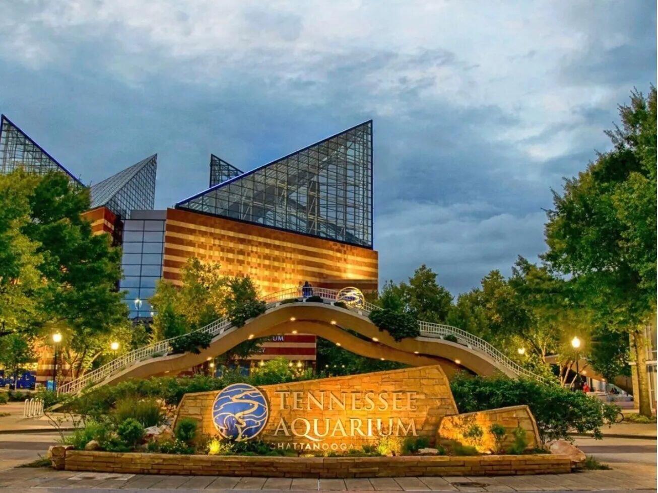 Picture of Chattanooga Tennessee Aquarium
