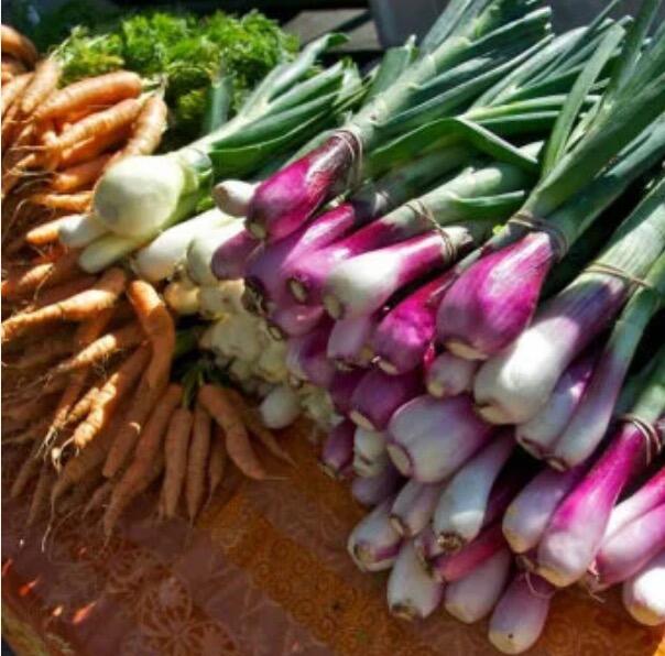 Picture of Ukiah Farmers Market