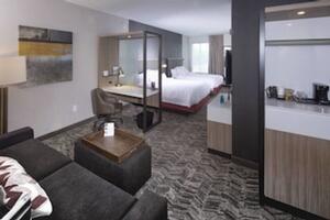 Picture of SpringHill Suites by Marriott Newark Downtown