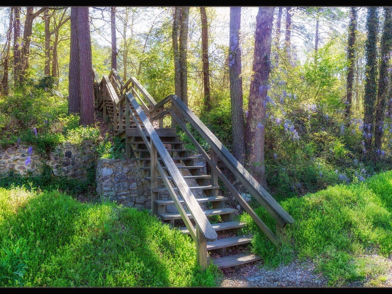 Picture of San-Lee Park