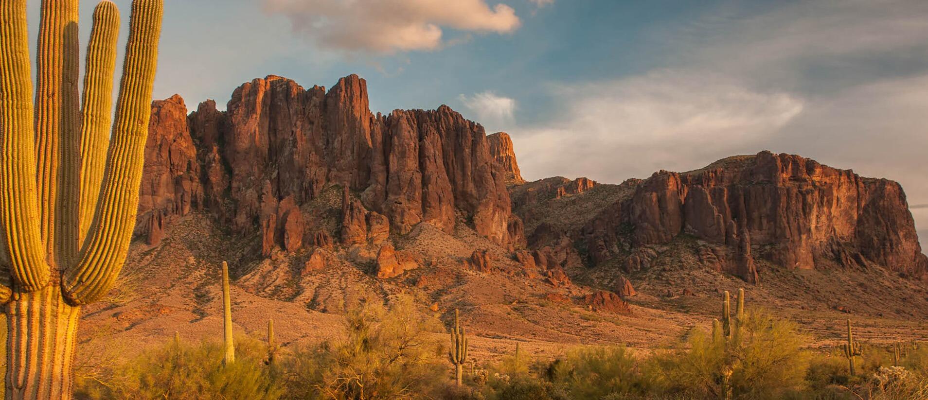 Picture of Lost Dutchman State Park