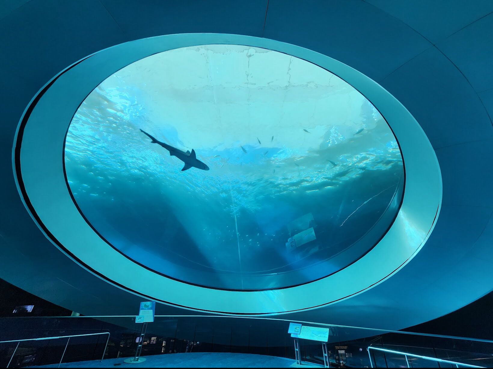 Picture of Frost Science Muesum