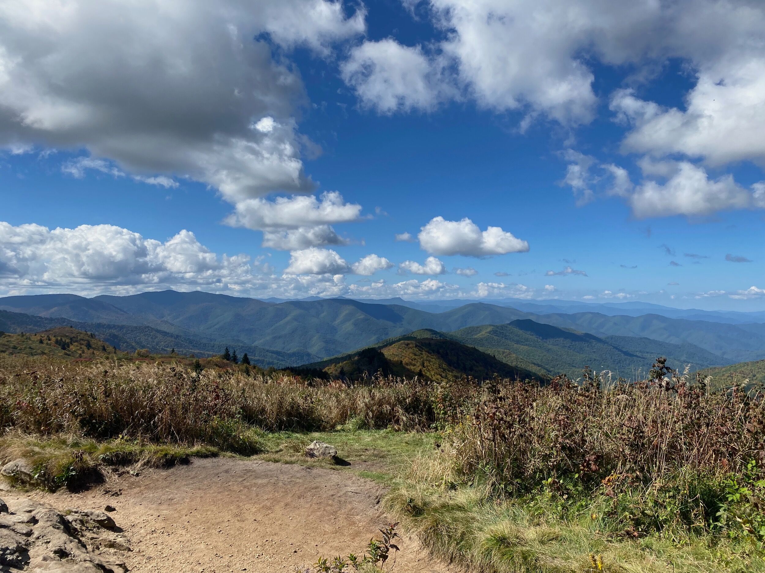 Picture of Black Balsam Knob