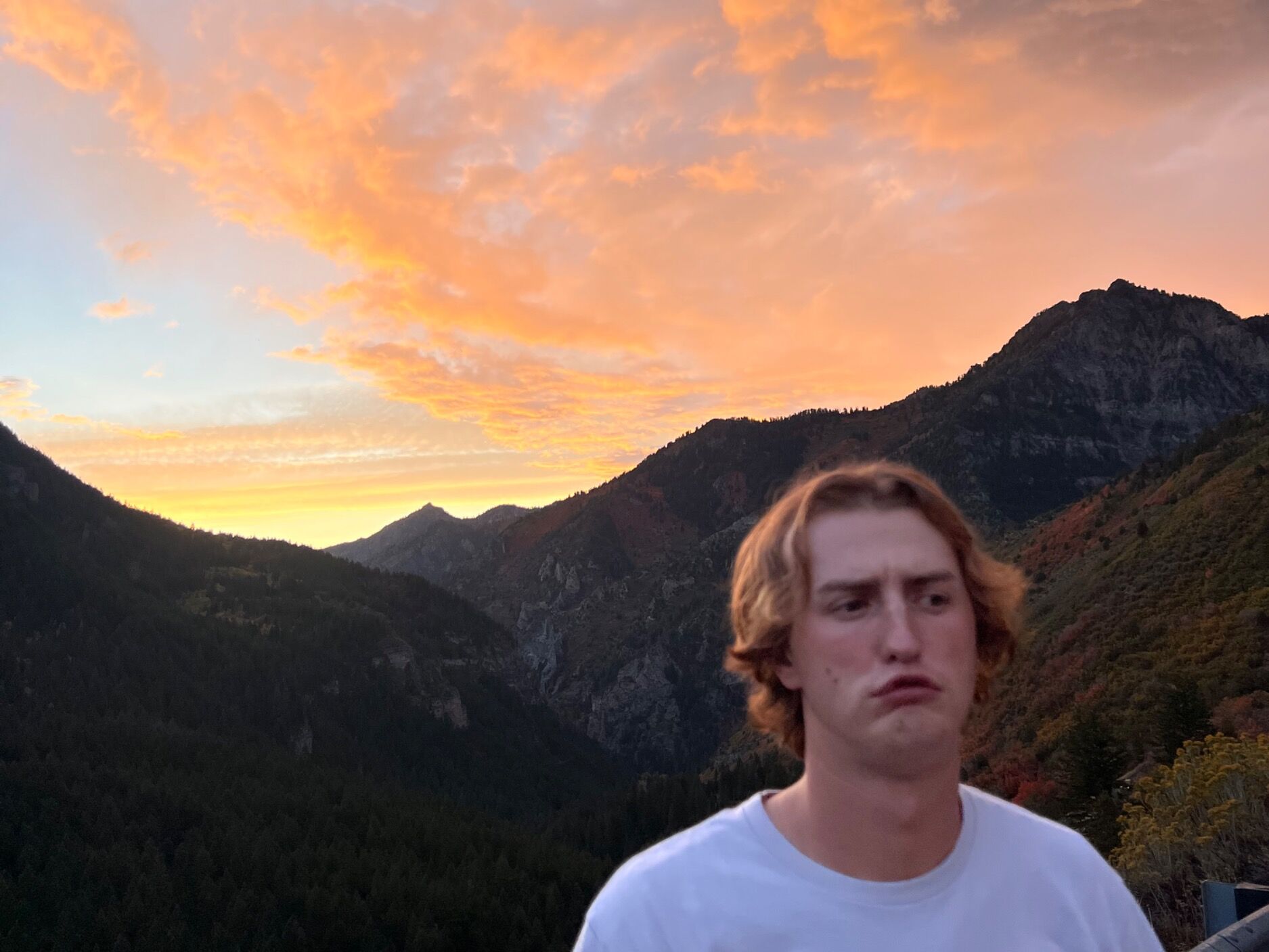 Picture of we took too many pictures