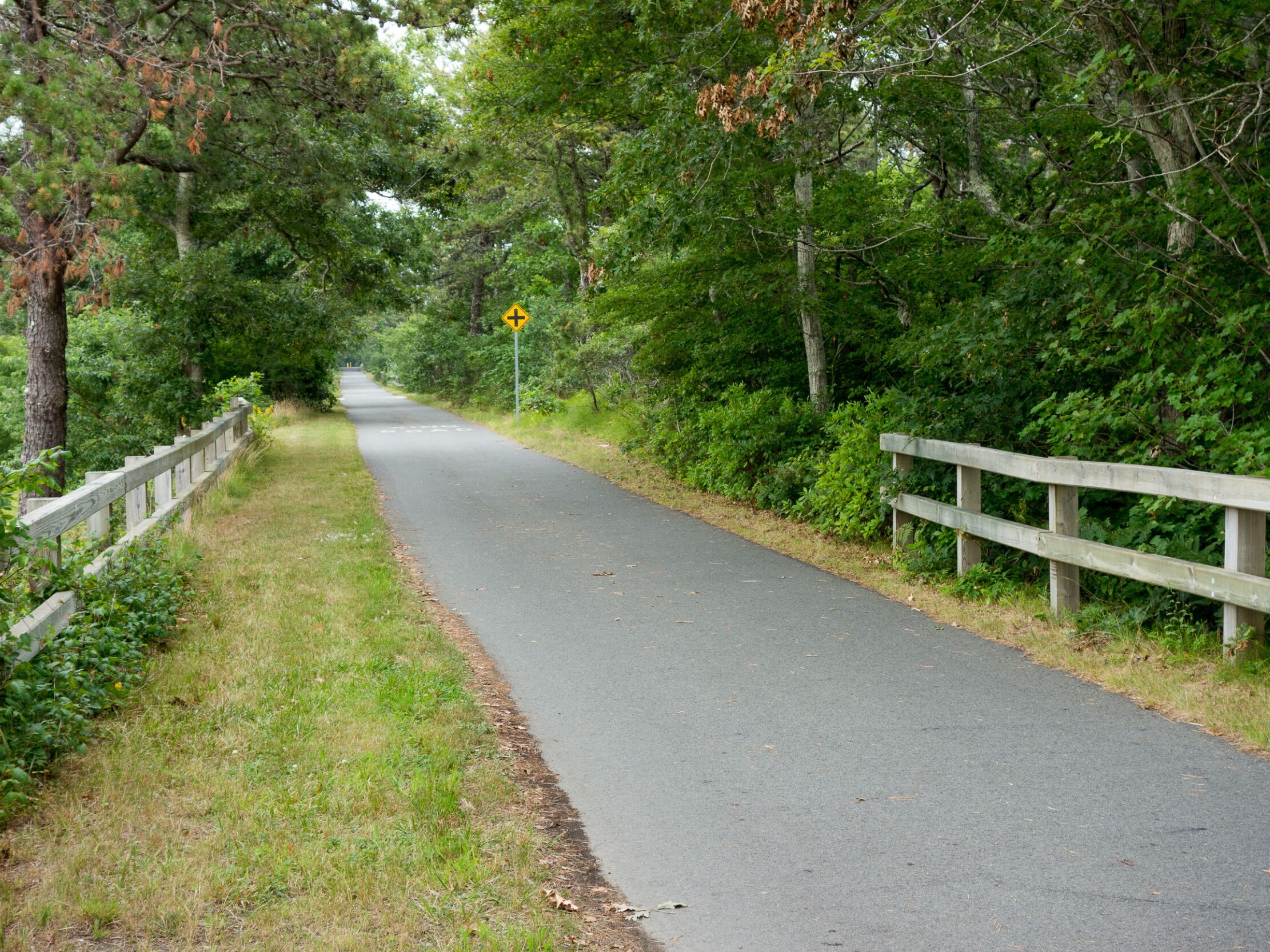 Picture of Cape Cod Rail Trail
