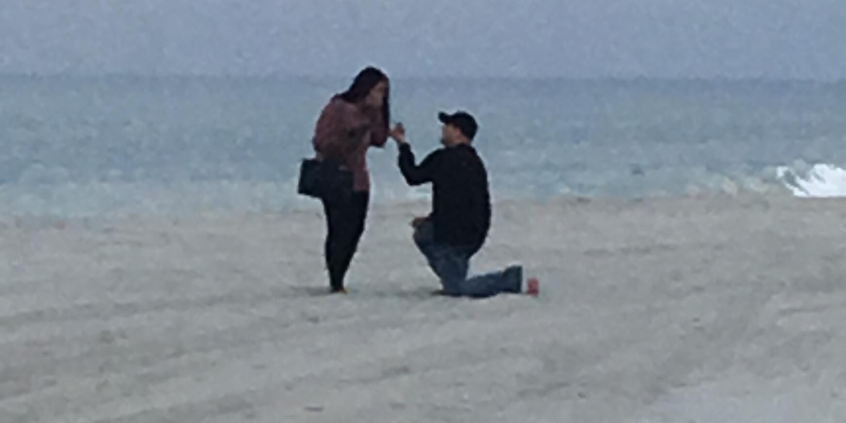 Picture of The Proposal 
