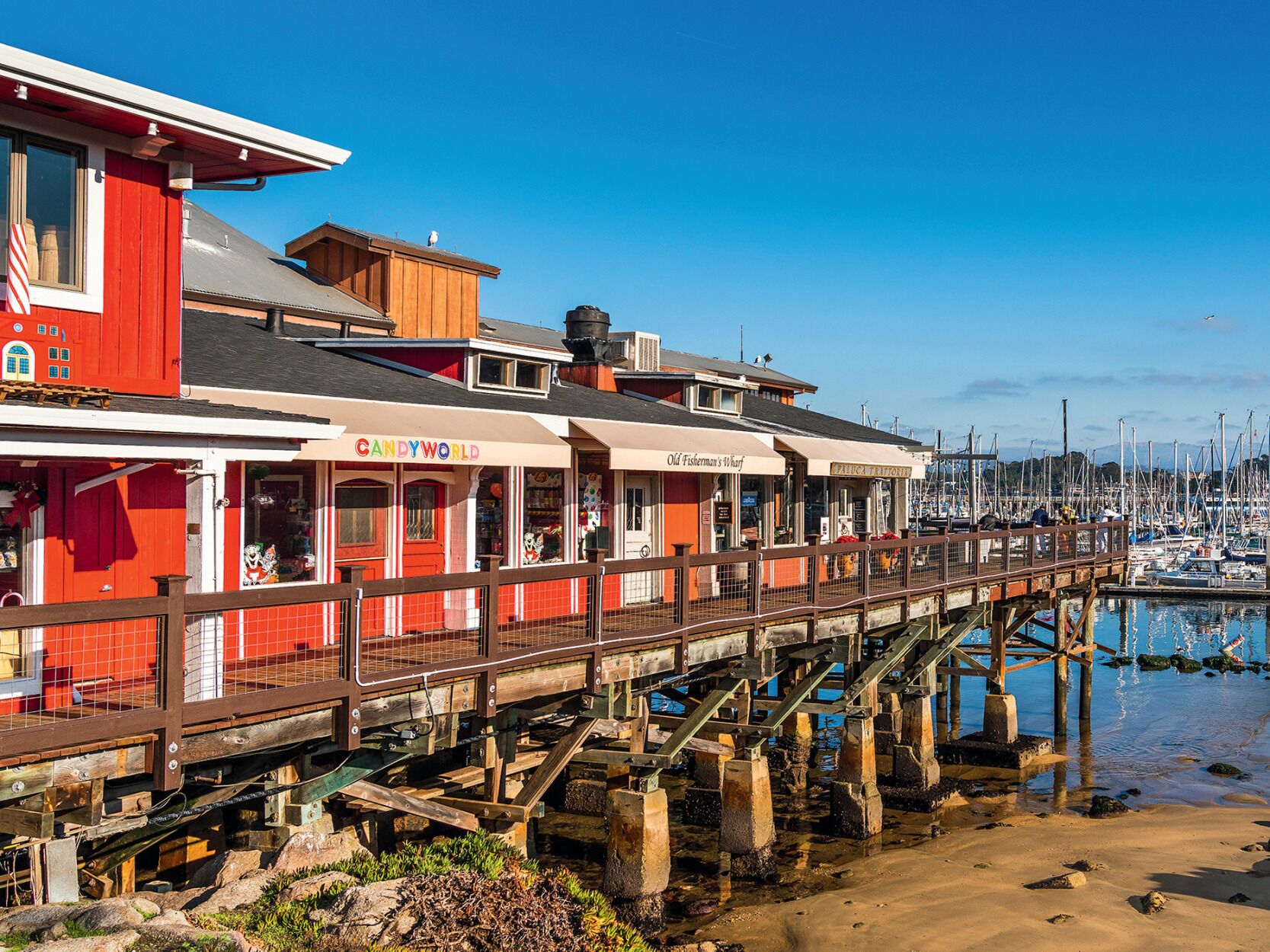 Picture of Old Fisherman's Wharf