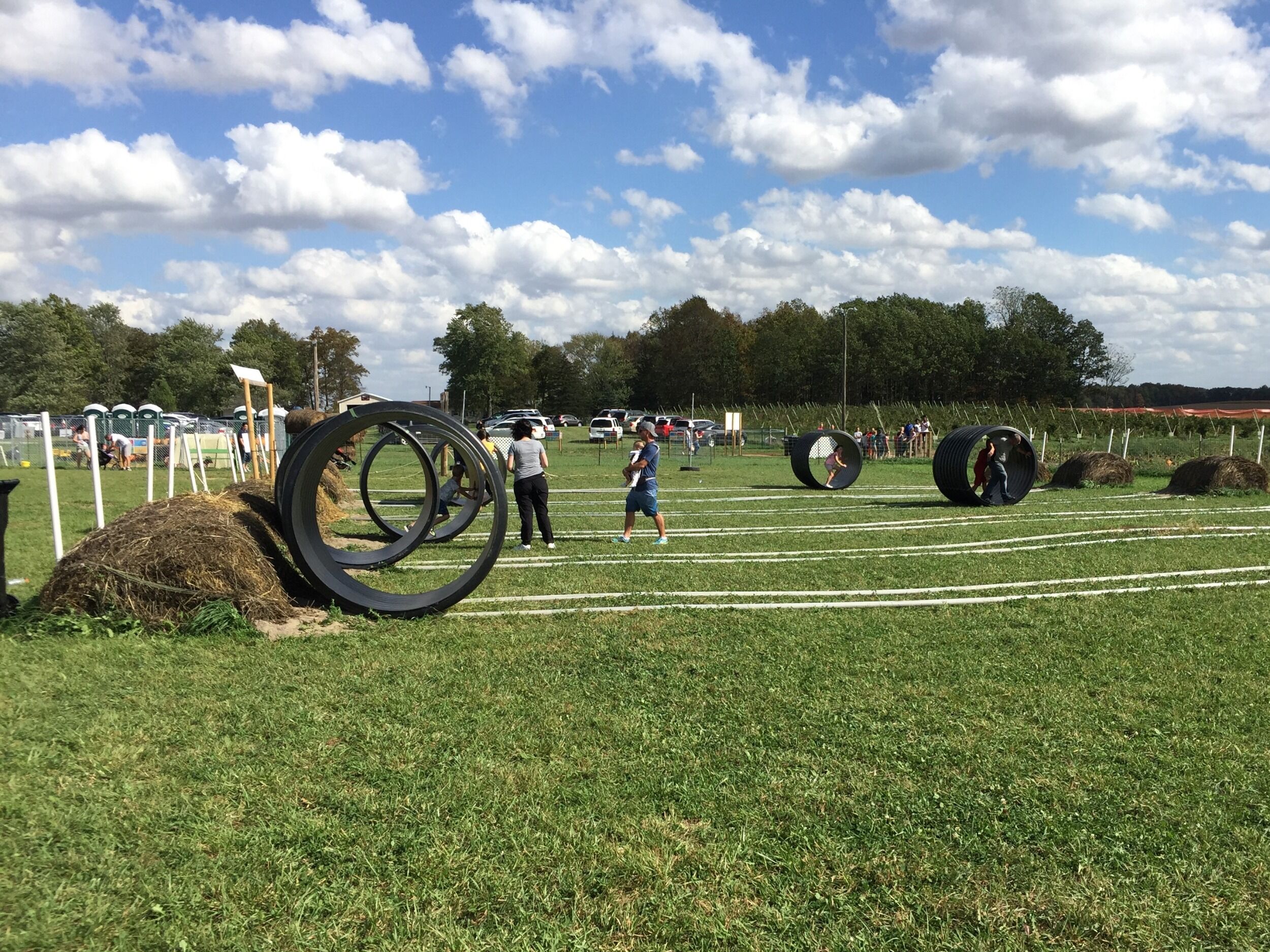 Picture of Amazing Fall Fun