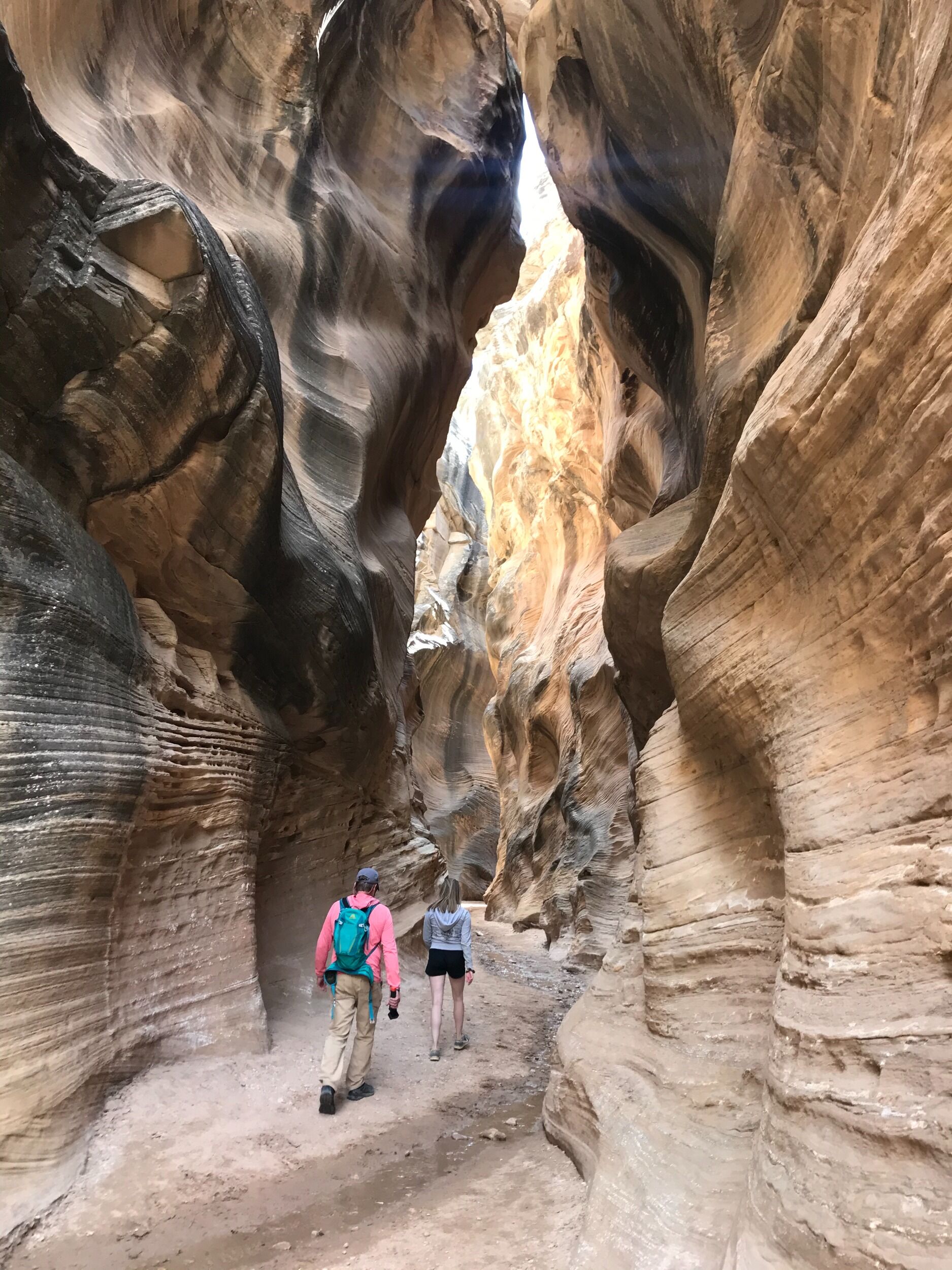 Picture of Zion National Park, UT