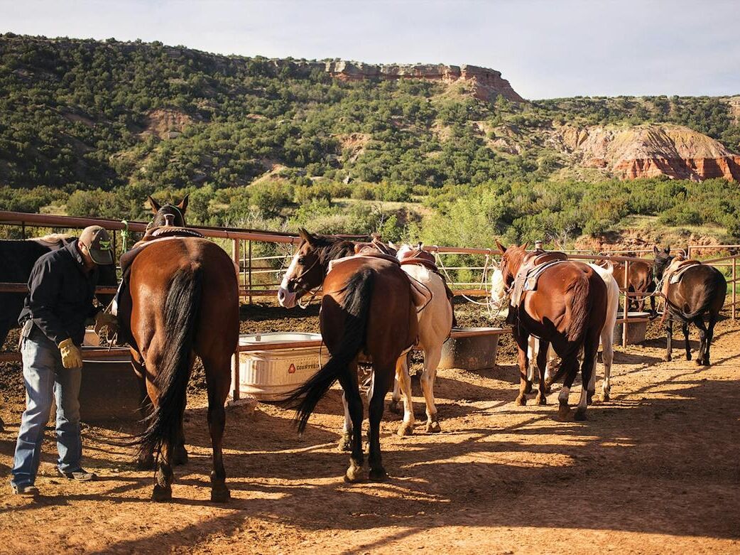 Picture of Palo Duro Canyon Jeep and Horseback Rides