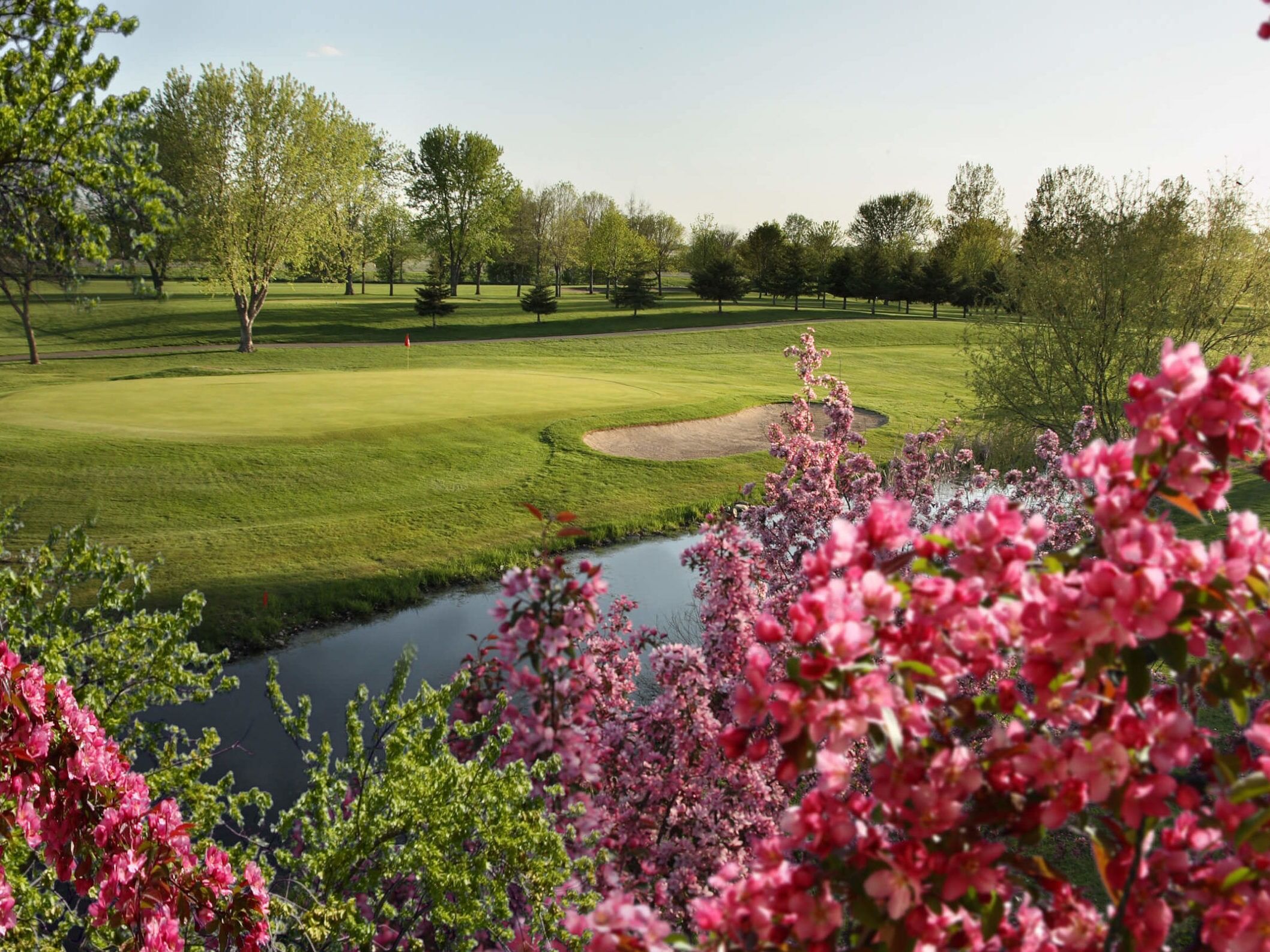 Picture of Albany Golf Club