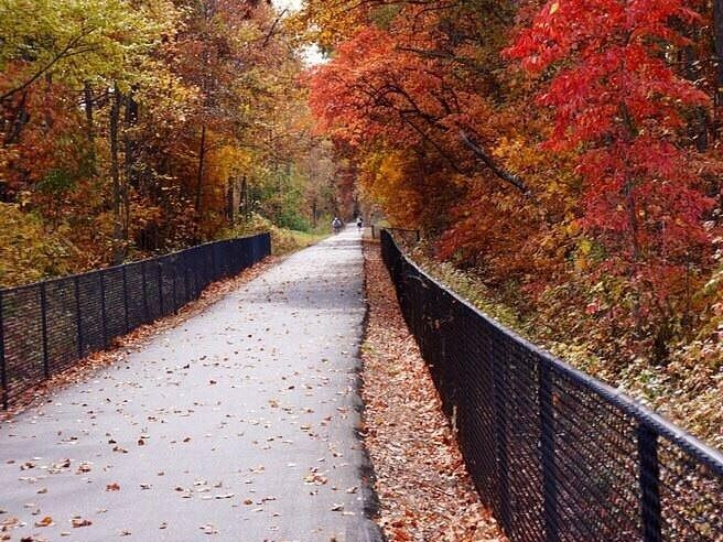 Picture of Swamp Rabbit Trail