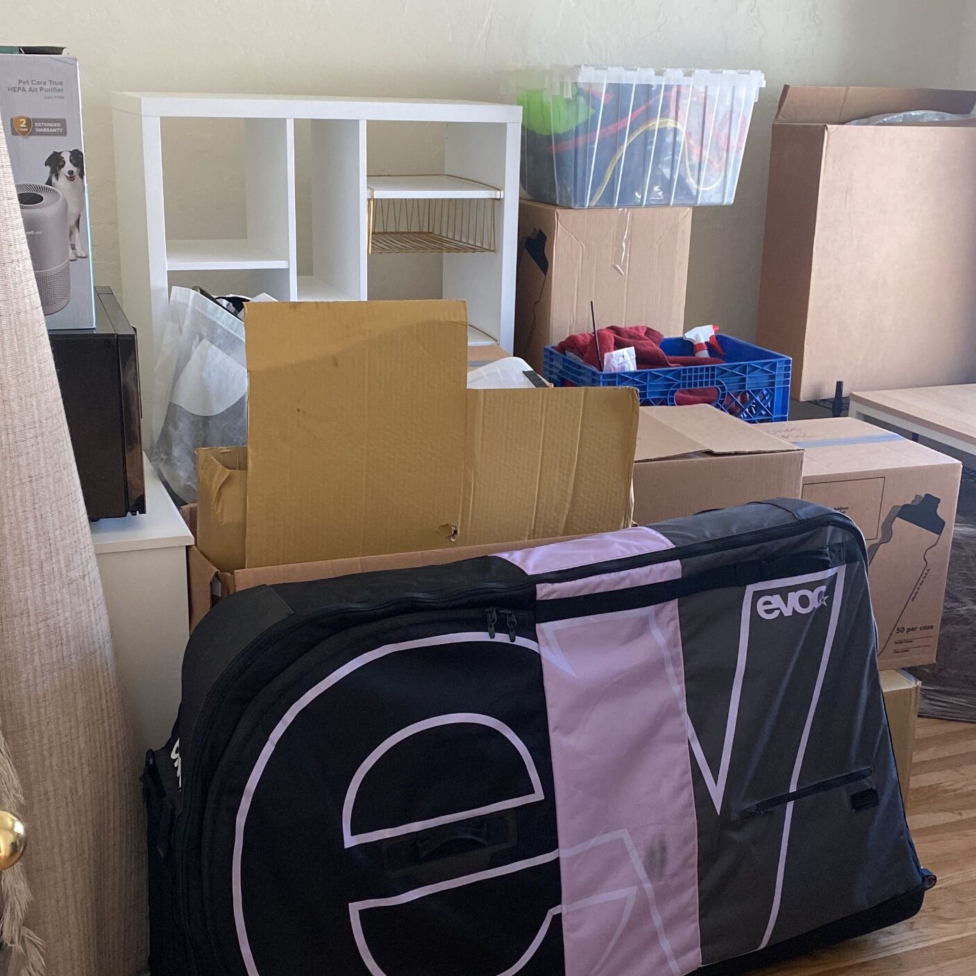 Picture of Moving Day