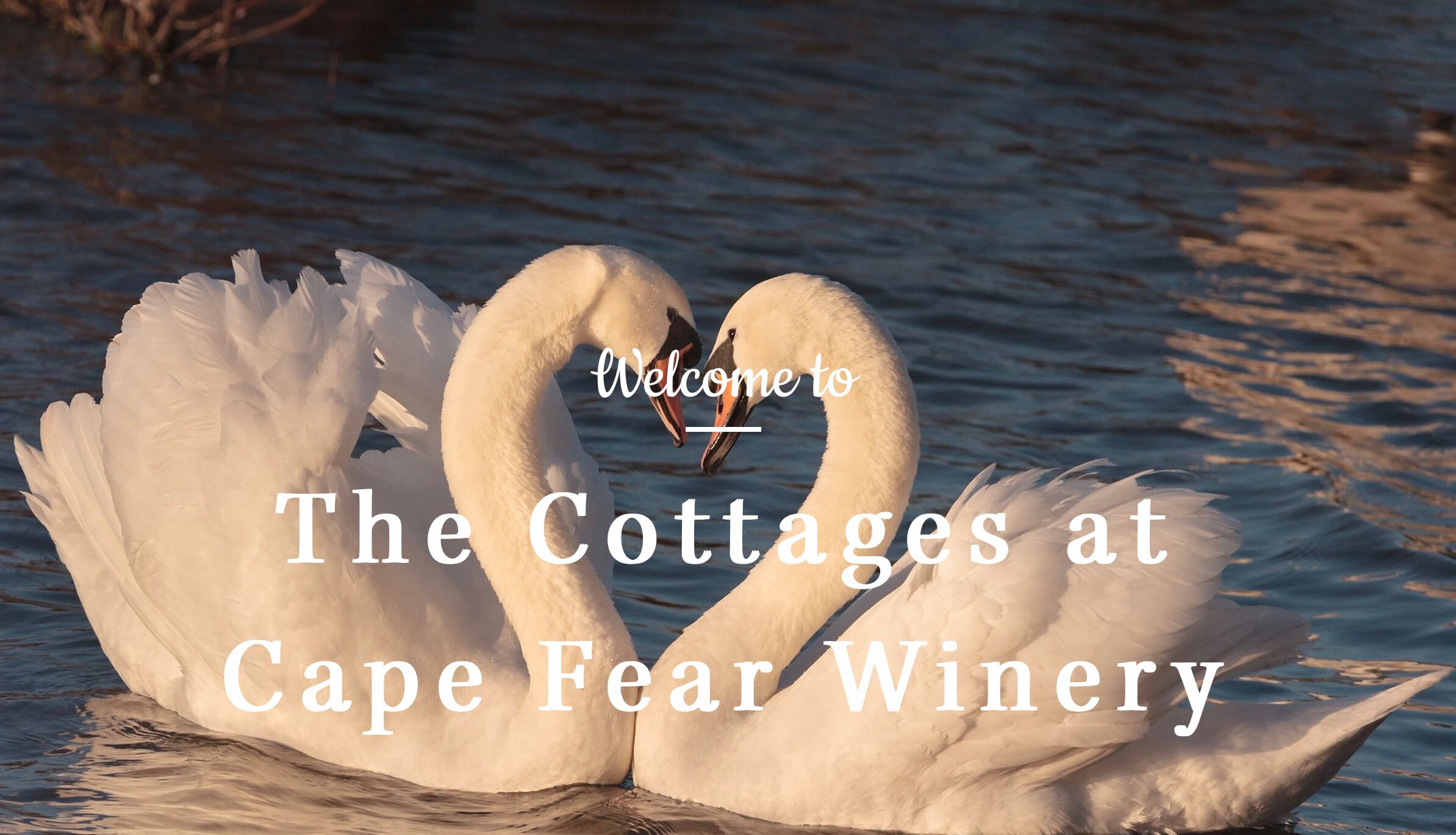 Picture of Cape Fear Winery Cottages