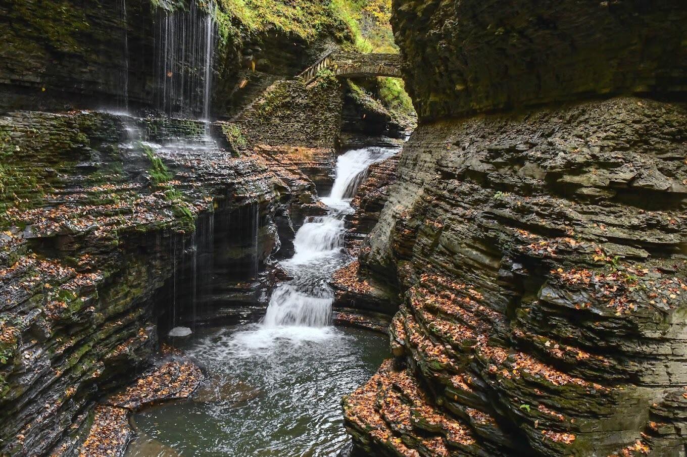 Picture of Watkins Glen State Park