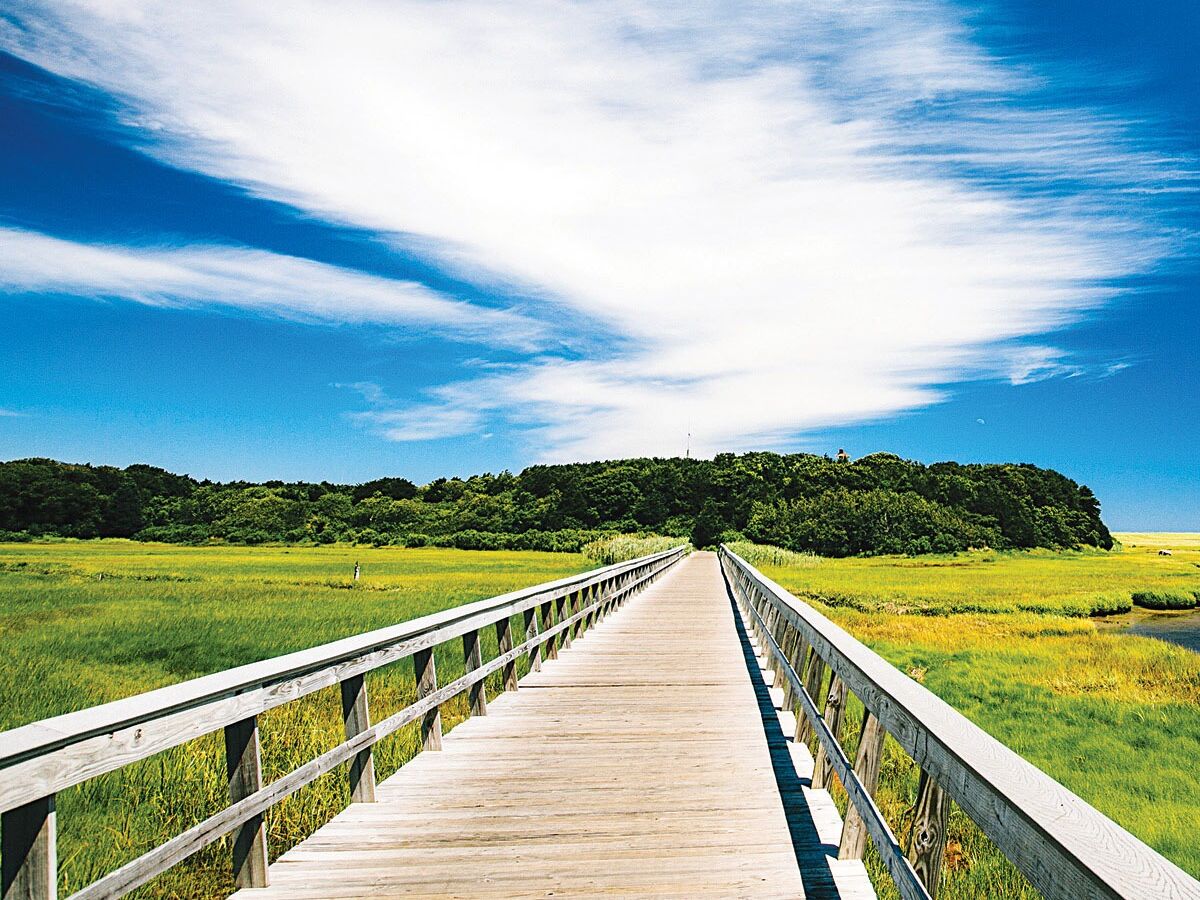 Picture of Cape Cod Rail Trail