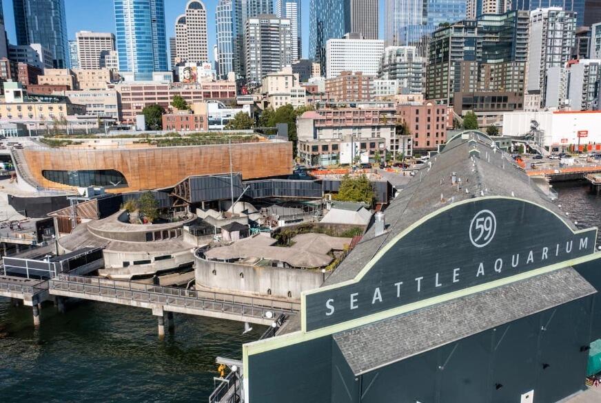 Picture of Seattle Aquarium