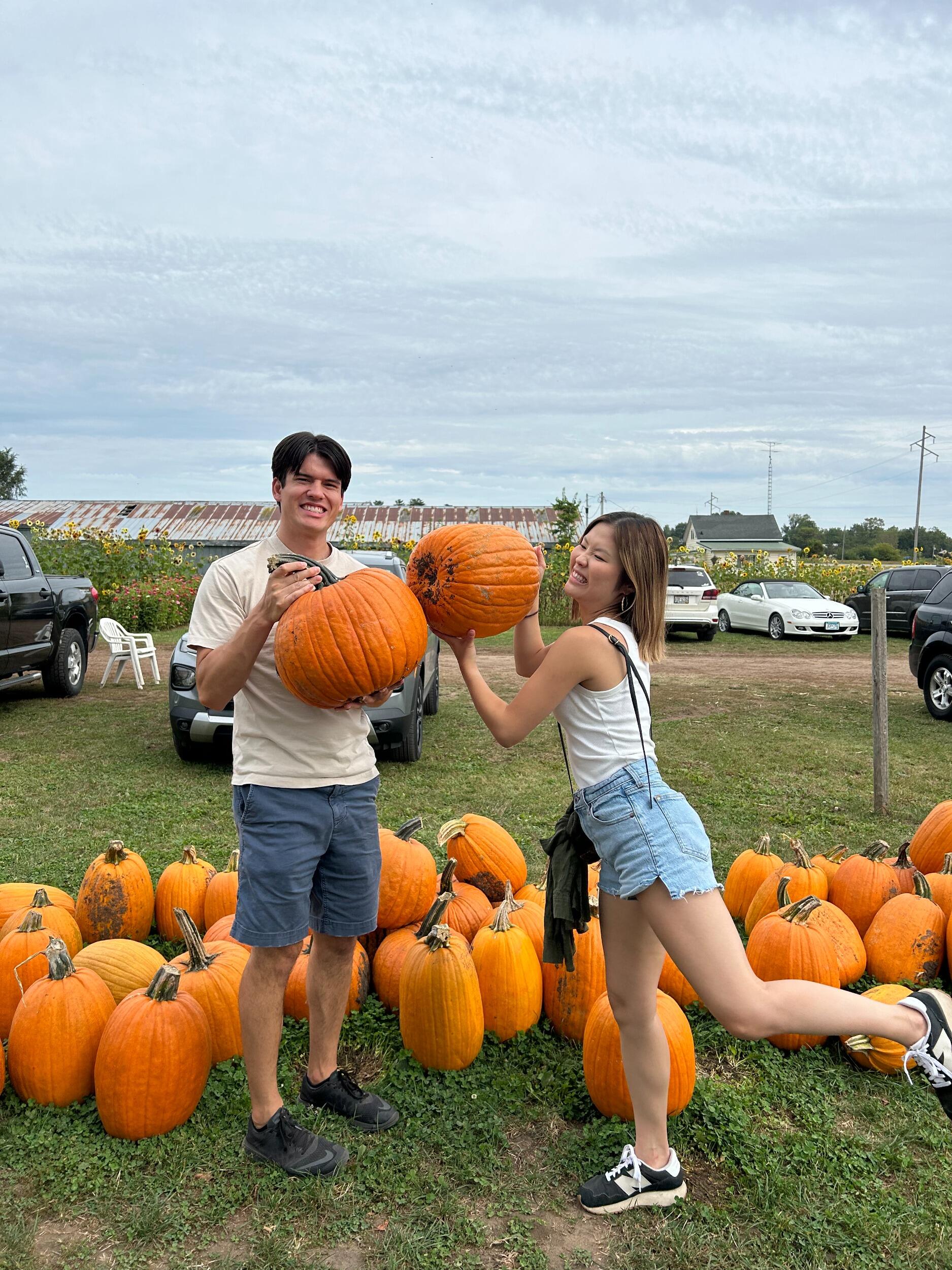 Picture of Pumpkins !