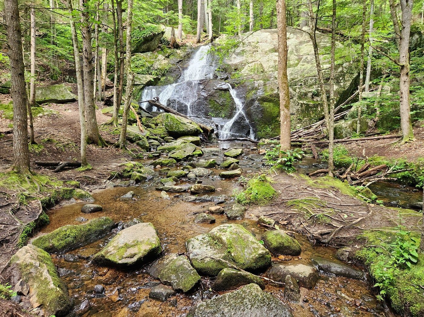 Picture of Newton Trailhead- Rainbow Falls hike