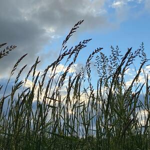 Gallery Photo 44