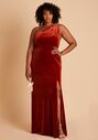 Birdy Grey Kira Dress in Velvet Burnt Orange One Shoulder Bridesmaid Dress - thumbnail - 6