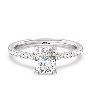 With Clarity Princess, Cushion, Emerald, Radiant, Round, Oval Cut Engagement Ring