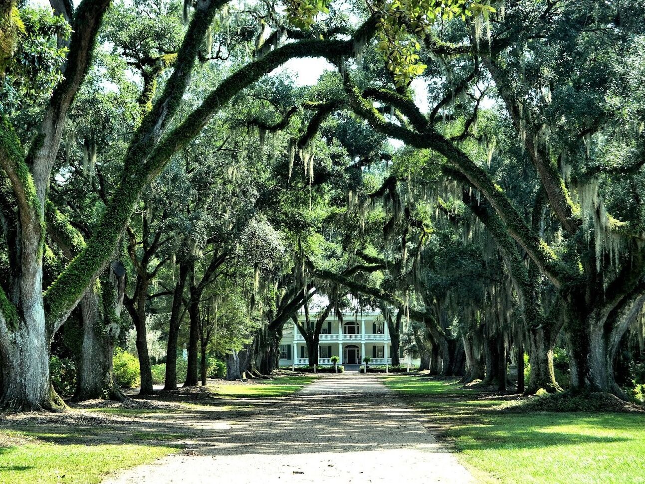 Picture of Rosedown Plantation State Historic Site