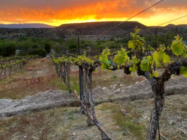 Picture of Oak Creek Vineyards & Winery