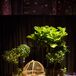 Rustic Cocktail Hour Decor