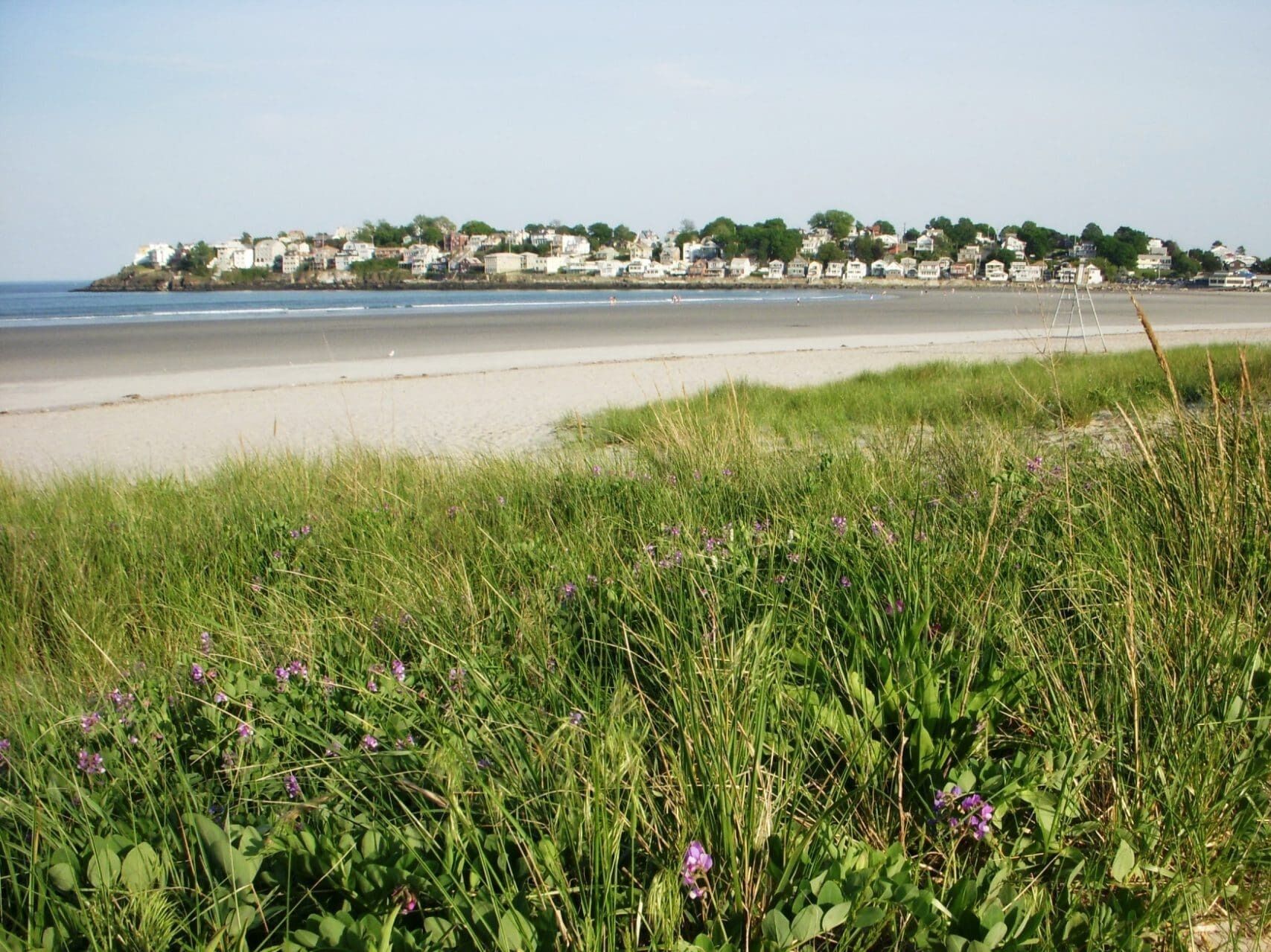 Picture of Nahant Beach And Playground